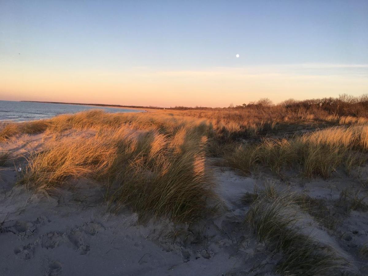 Fewo Sonnenblume Achtern Diek Zingst Kültér fotó